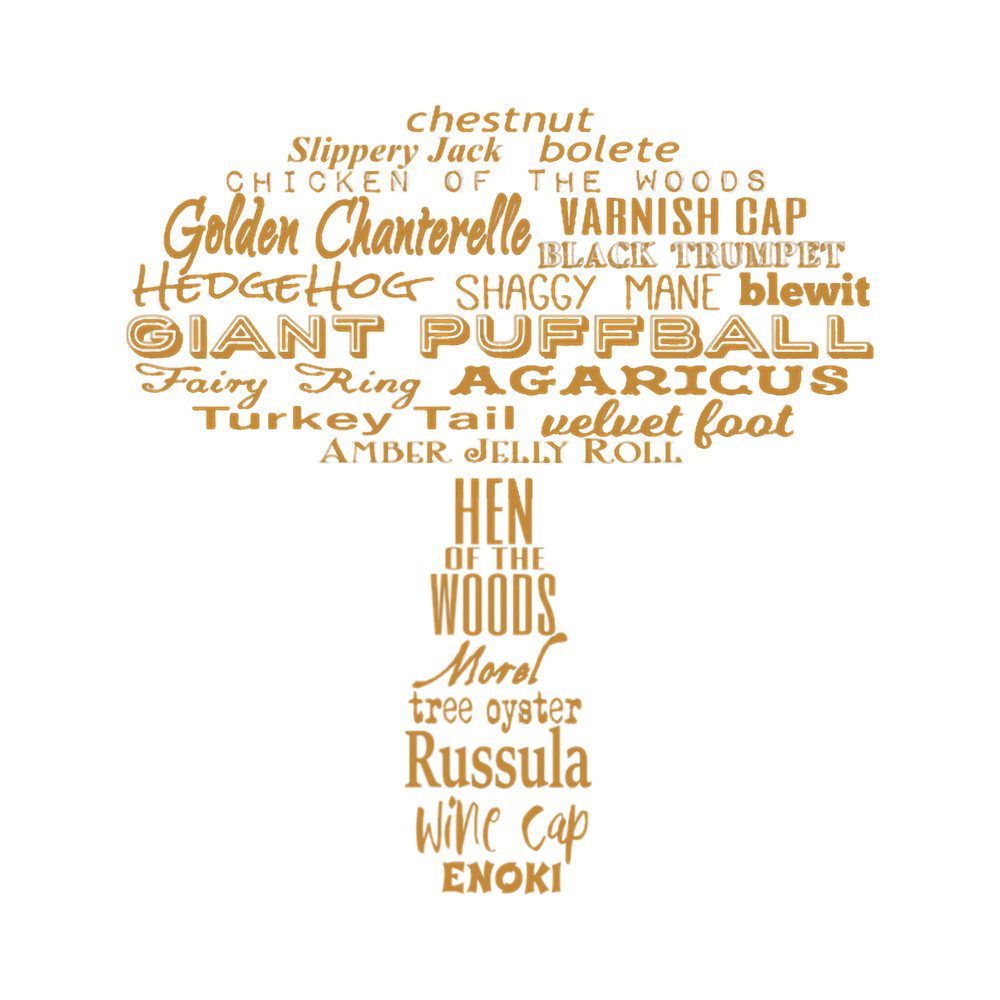 Mushroom Gift Wild Mushroom Hunting Foraging.png