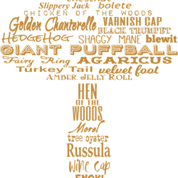 mushroom gift wild mushroom hunting foraging