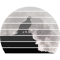 Retro Vintage sunset moon eagle standing on cliff silhouette.png