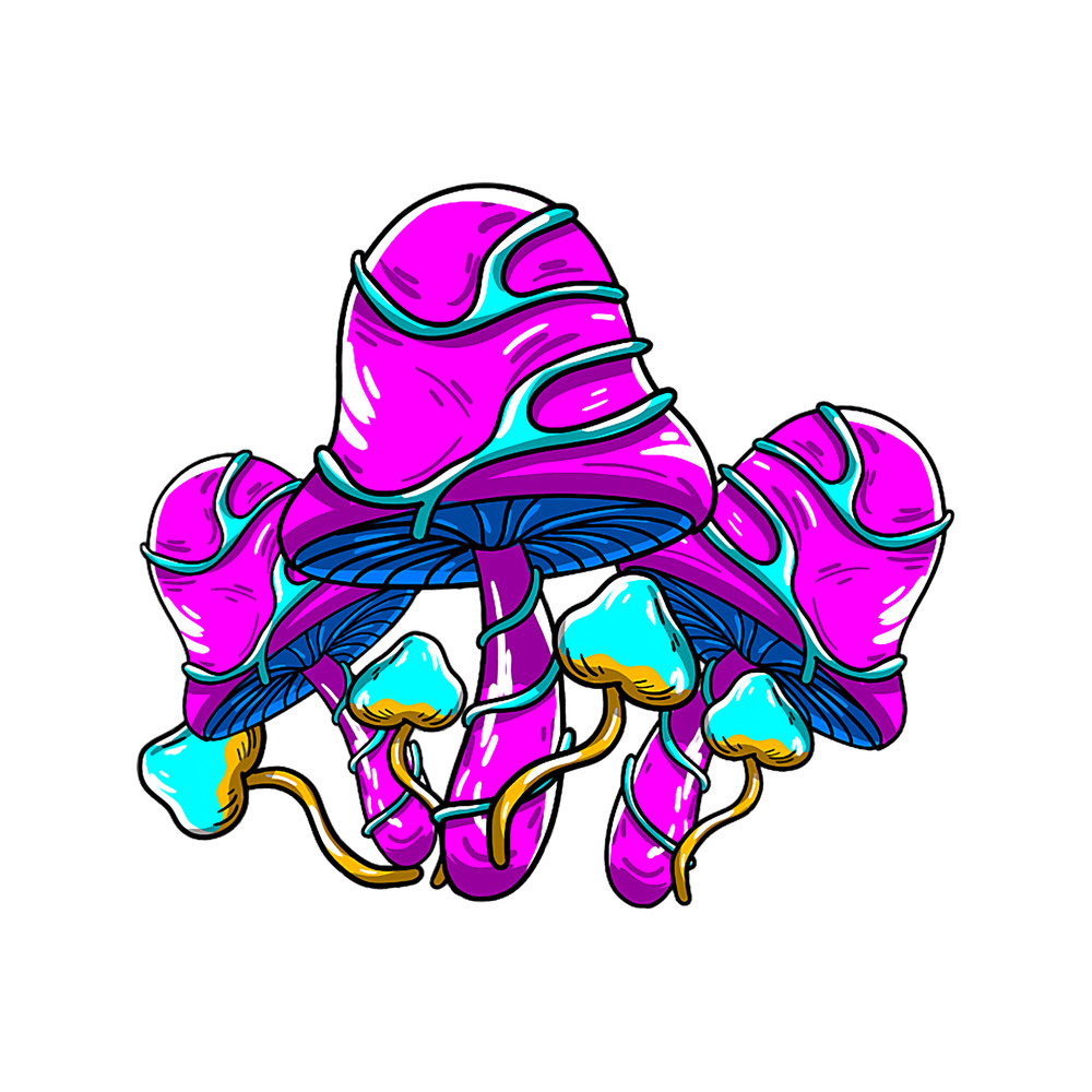 Mushroom Gift Galactic Shrooms Cool Mushrooms Techno Music EDM Lover Gift.png