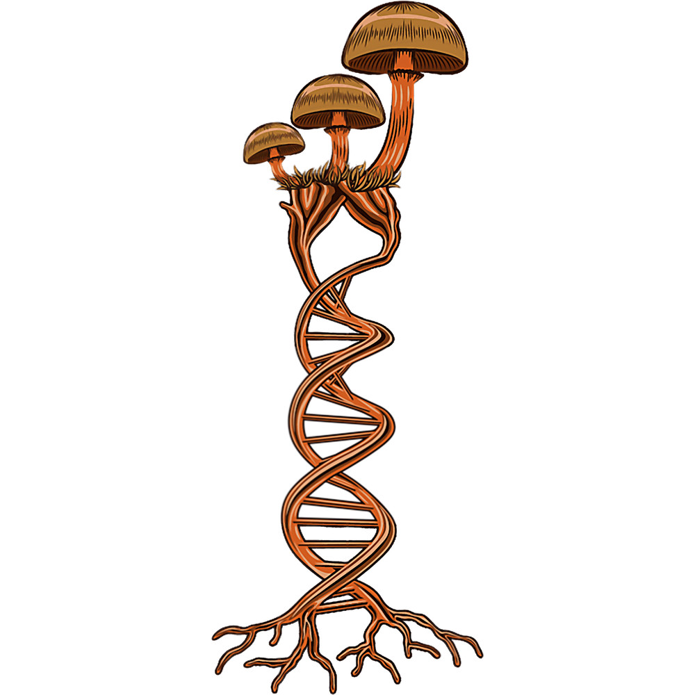 Mushroom Gift DNA Morel Hunter Shroom Hunting Mycology Lover.png