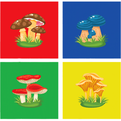 mushroom gift great mushrooms outfit love picking mushroom