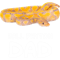 Python Lover Ball Python Dad Snake Reptile66 18.png