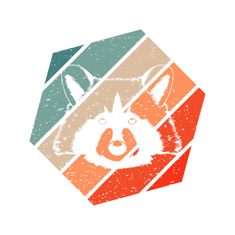 Raccoons Retro Style Vintage23 4.png
