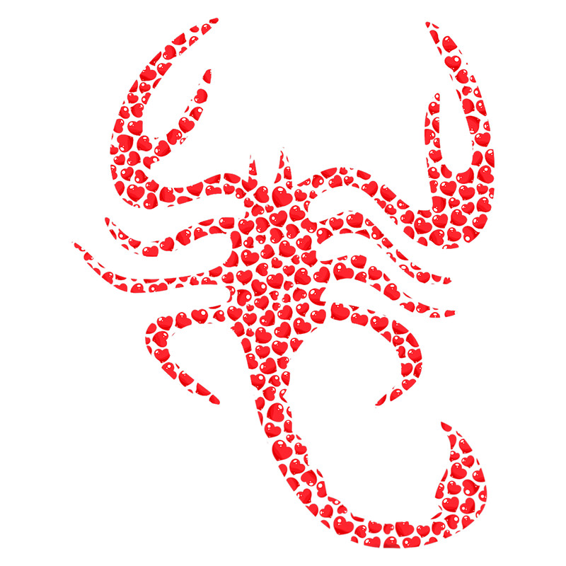 Scorpion Lover Heart Shape Scorpion Valentines Day.png
