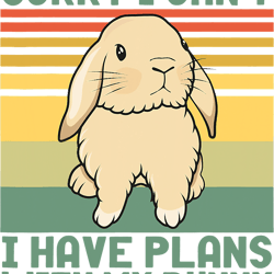 Rabbits Funny Rabbit Sorry I Cant I Have Plans With My Bunny Retro