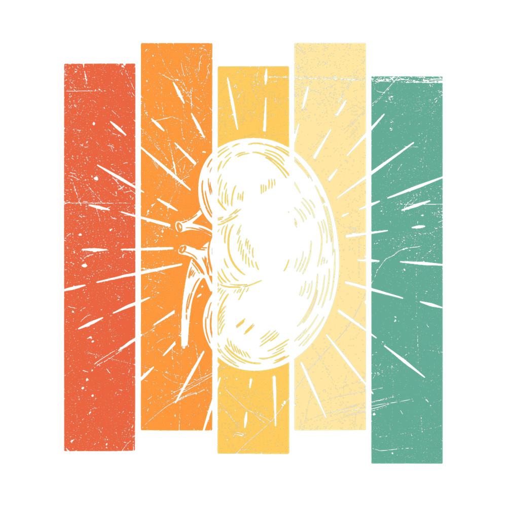 Kidney Surgery Design for an Organ Donor.png