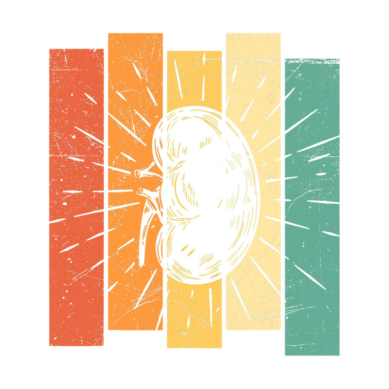 Kidney Surgery Design for an Organ Donor.png