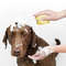 uoWjBathroom-Puppy-Dog-Cat-Bath-Washing-Massage-Gloves-Brush-Soft-Silicone-Pet-Accessories-for-Dogs-Cats.jpg