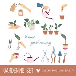Home Gardening set of elements | planting houseplant