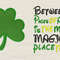 Shamrock Applique With Between The Pages 2 Designs Reading Pillow 0