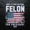 I Will Take The Felon For President 2024 USA Flag SVG.jpg