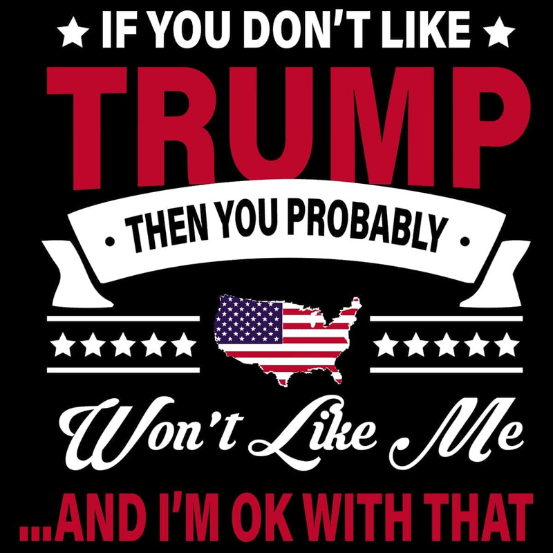 If You Don't Like Trump then You Probably Won't Like Me, And I'm Ok With That SVG.jpg