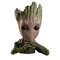 Perfect for Plant Lovers Sweet Groot