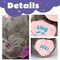 Musical Elephant Plush for Infants