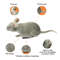 Electric Cat Toy Mouse Automatic Crawling Robot With Vibration For Playful Pet Interaction 2