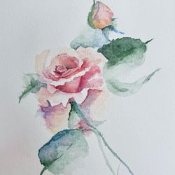 Watercolor painting of a delicate rose
