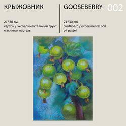 gooseberry oil pastel painting original wall art - 002