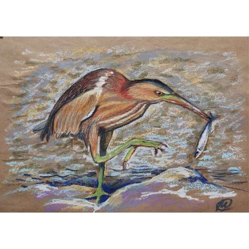Oil Pastel Painting Original Wall ART - Swamp bittern - 021