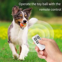 Smart Electric Dog Toy Ball With LED Flashing,Pet Cats/Dogs Interactive Chew Toy With Remote Control USB Rechargeables