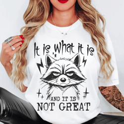 Funny Raccoon Shirt, It Is What It Is Shirt with Sayings, Raccoon Meme Shirt, Animal Lover Shirt, Aesthetic Graphic Shir