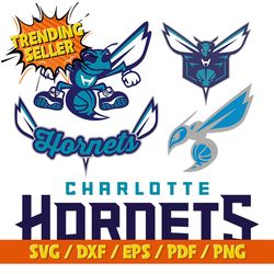 charlotte hornets svg, hornet svg, hornets svg, hornet, hornet, mascot, school, instant download