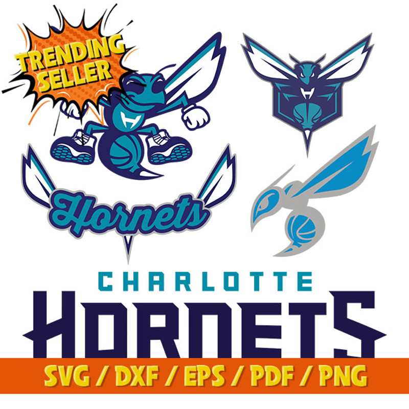 Charlotte Hornets.jpg
