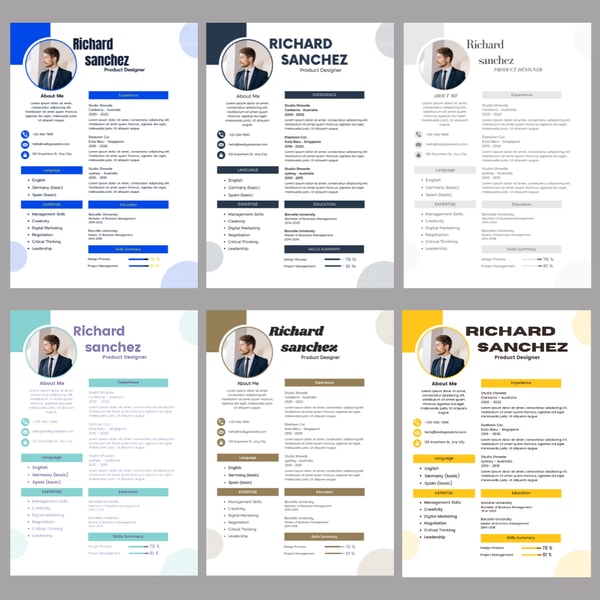 Model Cv Example Professional Resume Templates for 2024, Modele de CV, CV Wor | Inspire ...