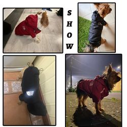 Reflective Hooded Dog Jacket for Winter - Waterproof, Warm, Cotton Pet Apparel with Dog Face Design