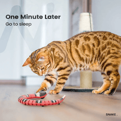 Multiple Color Smart Sensing Snake Interactive Cat Toys Automatic Cats Toys USB Charging Accessories Kitten Toy
