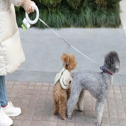 MOESTAR Retractable Dog Leash - Innovative 2-in-1 Traction Rope with Rechargeable LED Flashlight and Replaceable Bungee