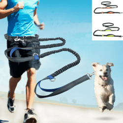 Reflective Leash Traction Rope Pet Dog Running Belt Elastic Hands Freely Jogging Pull Dog