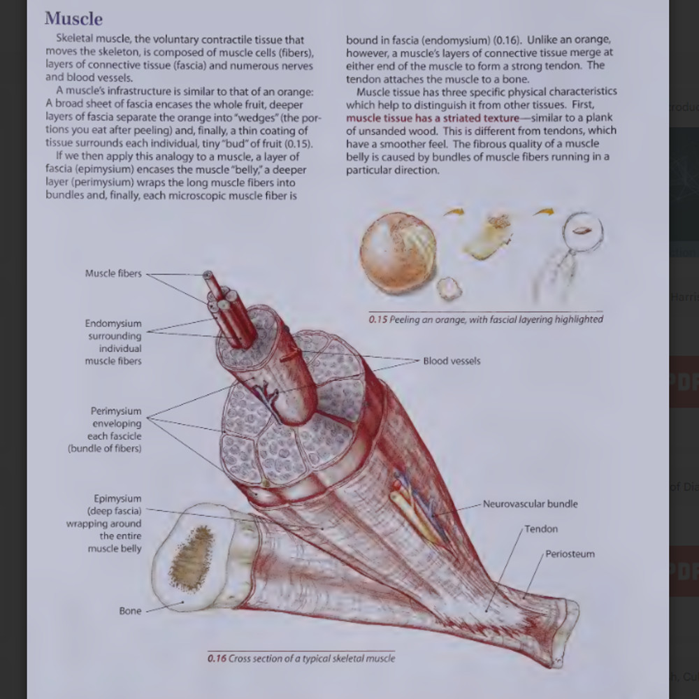 Trail Guide to the Body3.png