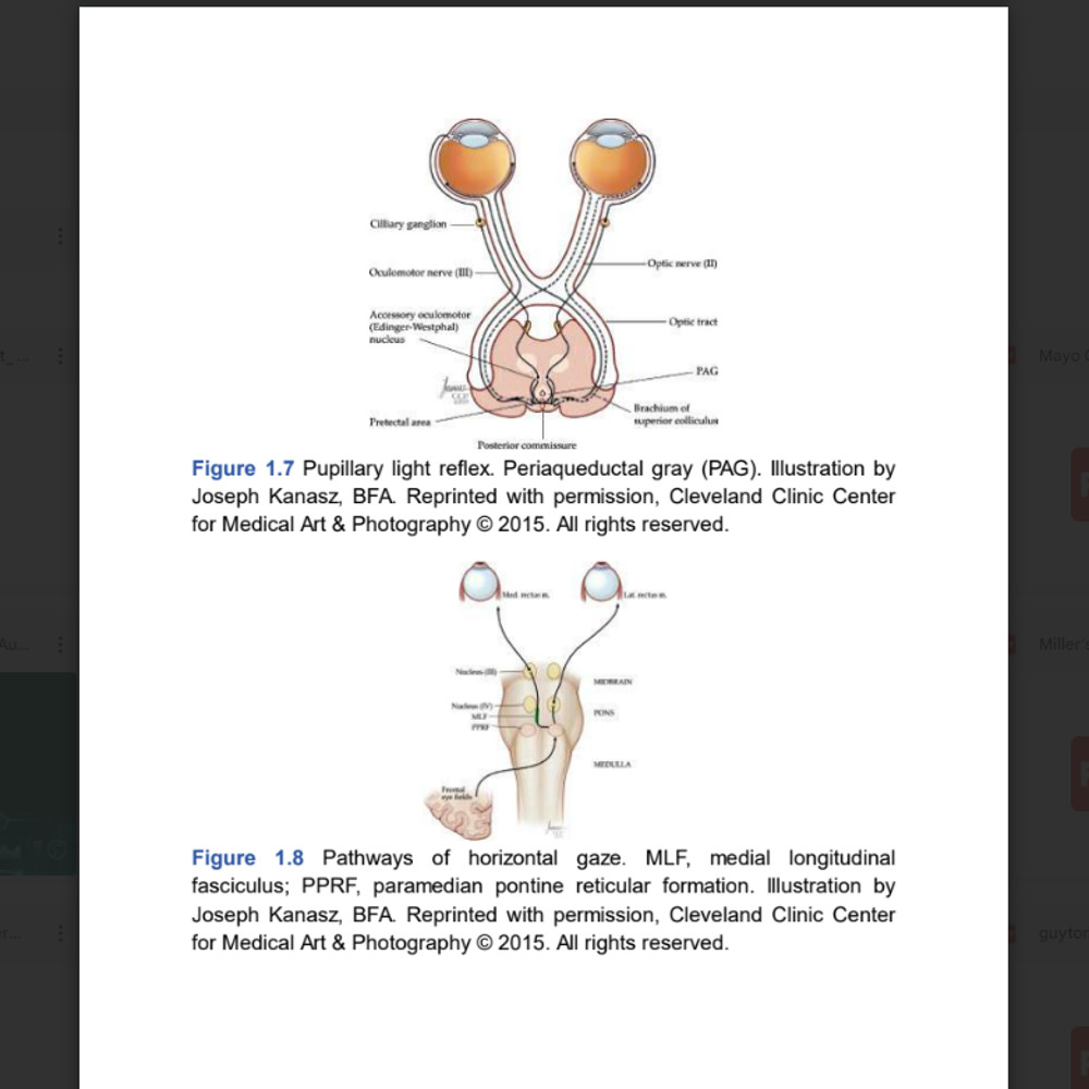 Comprehensive Review in Clinical Neurology2.png