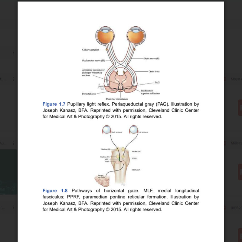 Comprehensive Review in Clinical Neurology2.png