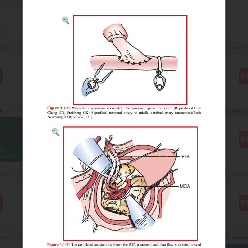 Anesthesiologist's Manual of Surgical Procedures3.png