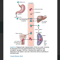 Porth's Essentials of Pathophysiology2.png