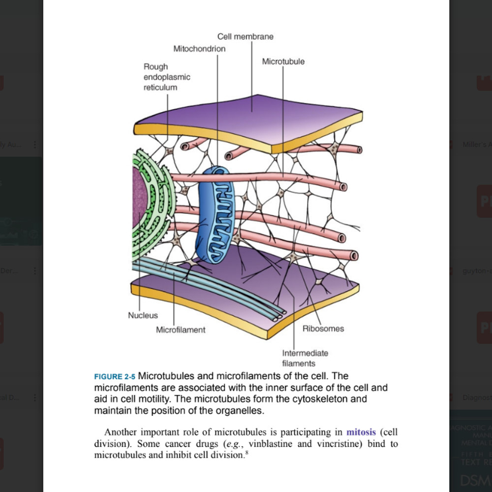 Porth's Essentials of Pathophysiology3.png