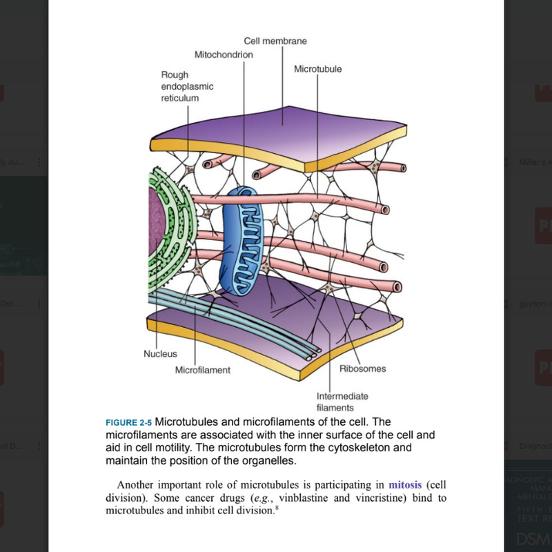 Porth's Essentials of Pathophysiology3.png