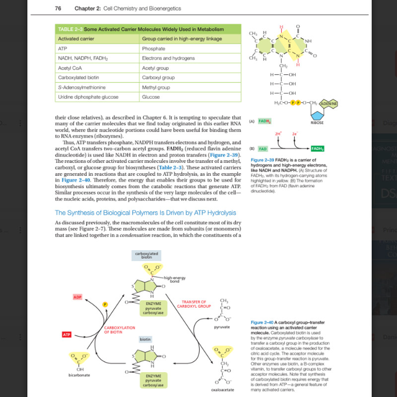 Molecular Biology of the Cell Seventh Edition3.png