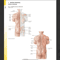 Atlas of Anatomy 4th Edition2.png