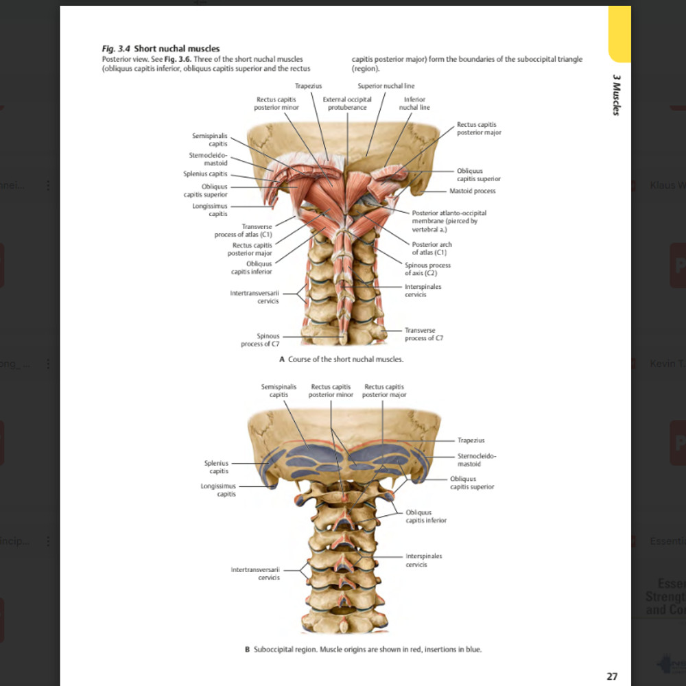 Atlas of Anatomy 4th Edition3.png