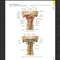 Atlas of Anatomy 4th Edition3.png