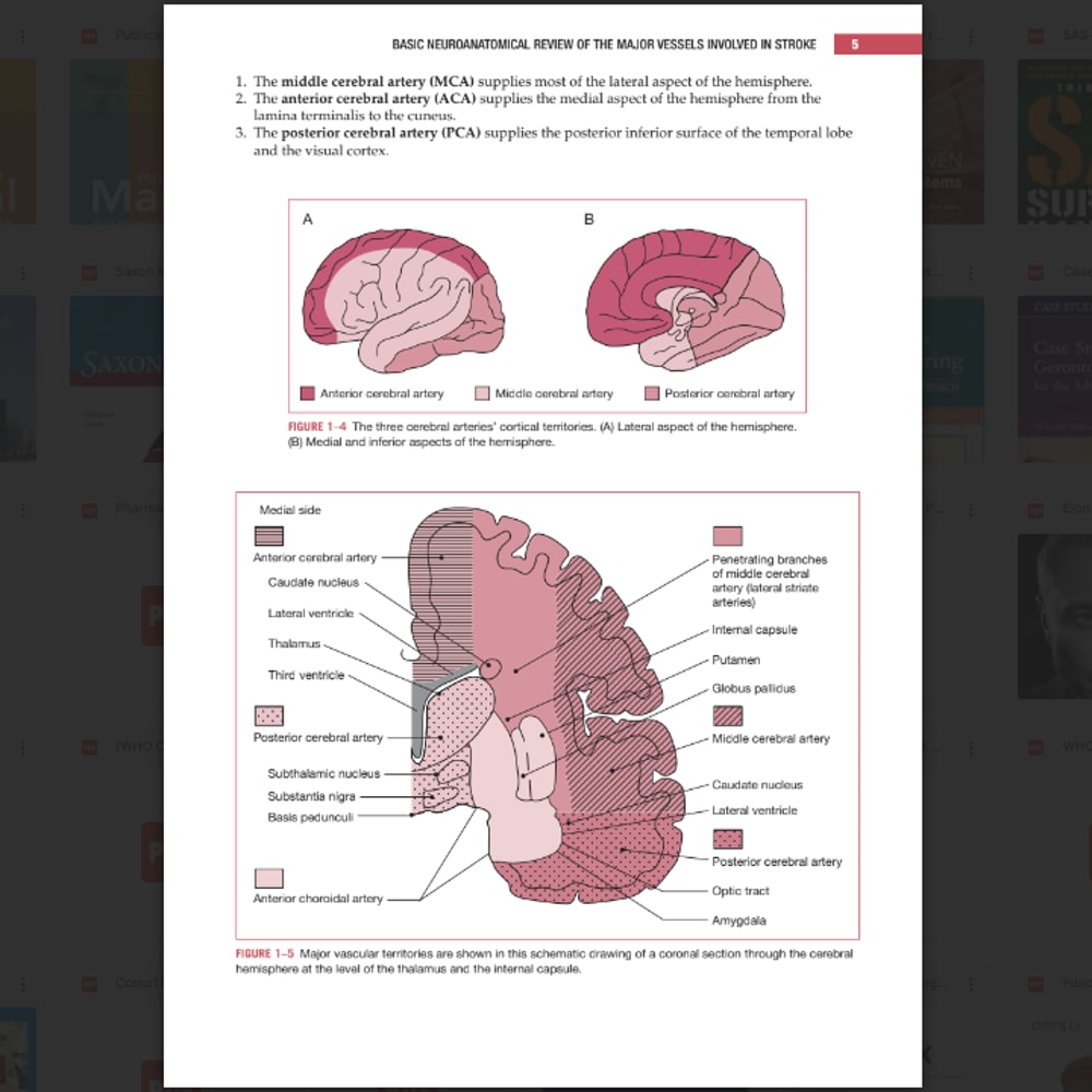Physical Medicine and Rehabilitation Board Review, Fourth Edition3.png