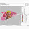MOCKUP 1000x1000-02.png