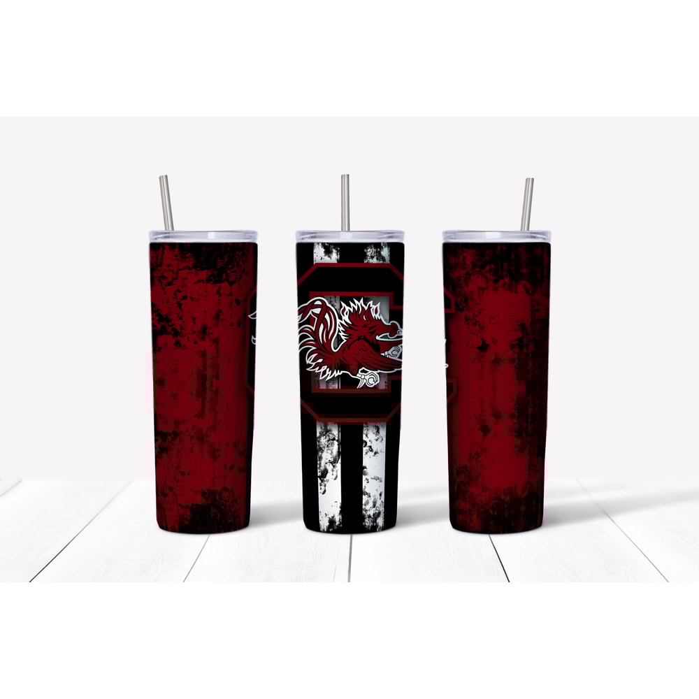 SC Gamecocks Mockup.jpg