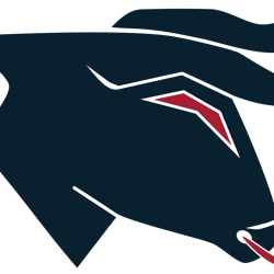 Houston Texans Svg, Houston Texans Png, Houston Texans Football Teams Svg, NFL Teams Svg, NFL Svg, Sport Svg, Cut file-5