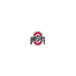 Go Buckeyes Svg, Go Buckeyes Svg Svg, NCAA Svg, NCAA Team Svg, Football svg, Sport Svg, Digital download-1