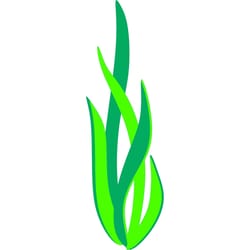 seaweed luca svg, luca logo svg, luca clipart, luca silhouette, cartoon svg, disney svg, digital download