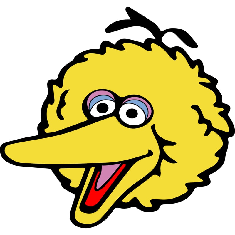 Big Bird 1.jpg